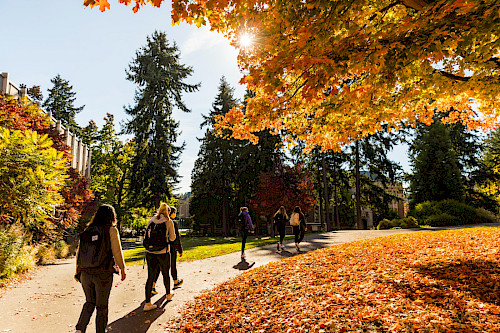 Students walking amongst fall colored foliage